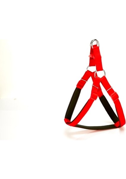 Köpek Bel Tasması 70cm Large Kırmızı