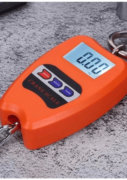 200 kg Vinç Tipi Kancalı Terazi - Ağır Yükler Için Hassas Ölçüm ( Lisinya )