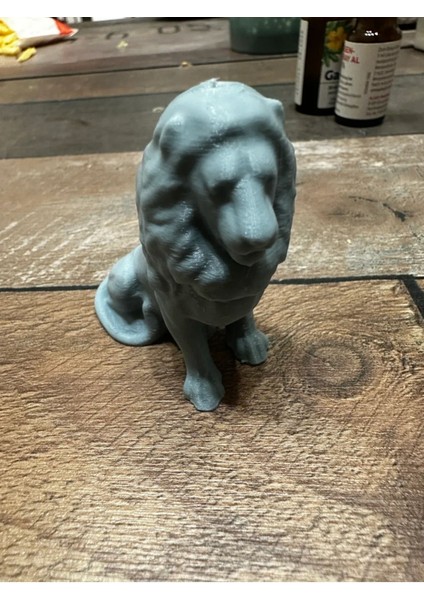 Aslan P409778