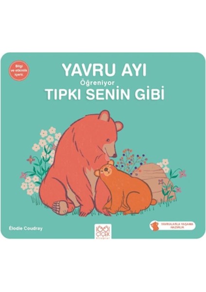 Yavru Ayı Öğreniyor Tıpkı Senin Gibi