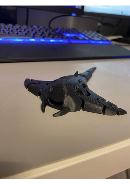 Manta Ray - Li Figür Anahtarlık P824405