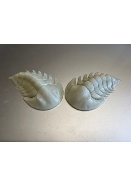 Li Trilobit P653659