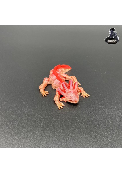 Sevimli Axolotl Anahtarlık - Mafsallı - Yerinde Baskı - Destek Yok T6522312