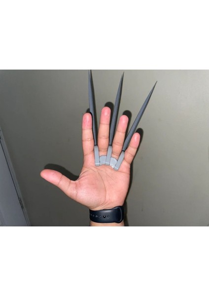 Wolverine Pençeleri T6514053