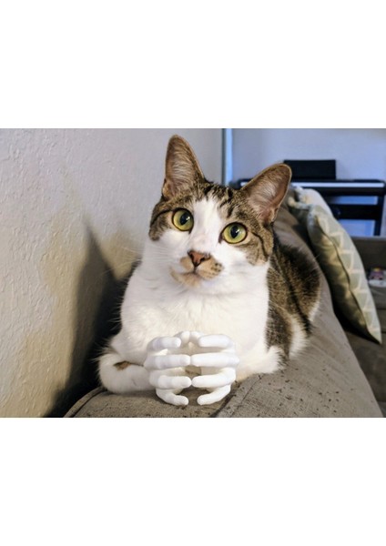 Kedi Elleri T5367636