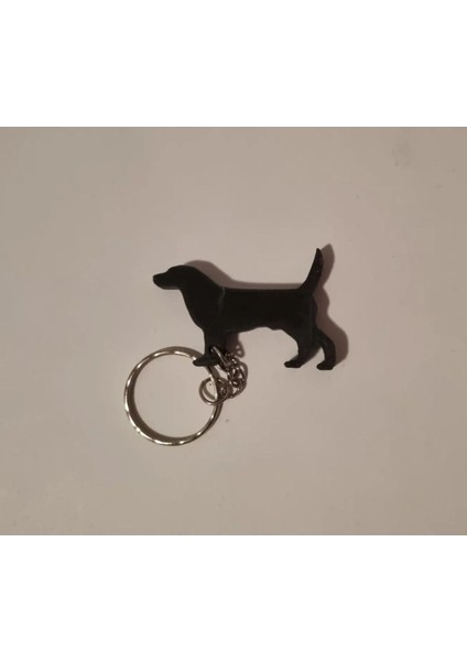 Köpek Anahtarlık M108505