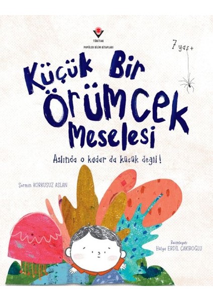 Küçük Bir Örümcek Meselesi