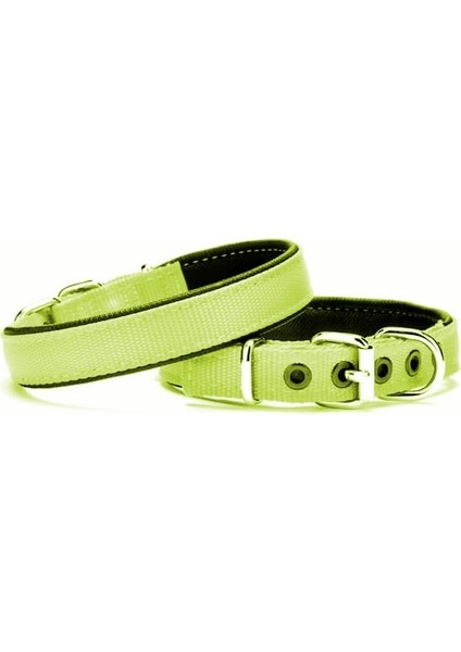 Yumuşak Doku Köpek Boyun Tasması 2/45 cm Yeşil
