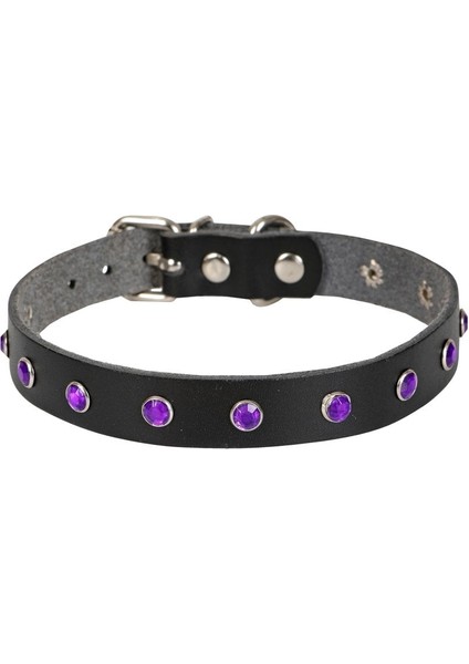 Taşlı Kedi ve Yavru Köpek Tasması 1*23 cm Mavi Medium