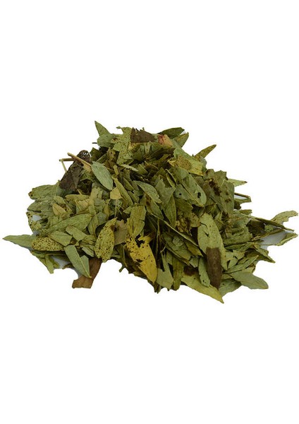 Sinameki Yaprağı Doğal 100 gr Paket