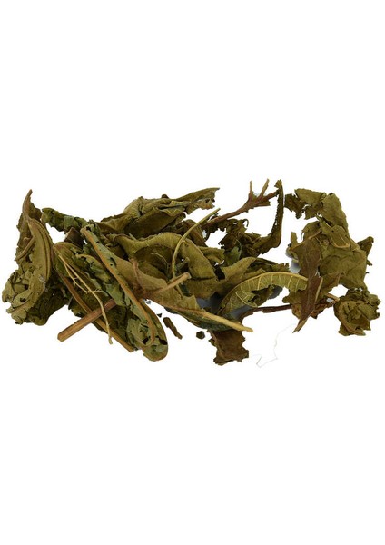 Incir Yaprağı Doğal 100 gr Paket