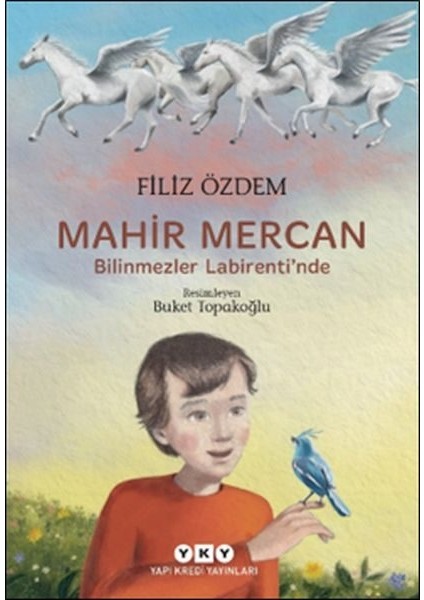 Mahir Mercan - Bilinmezler Labirenti Nde