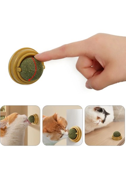Duvara Yapışan Dönen Kedi Nanesi Cat Oyun Topu Doğal Kedi Oyuncağı