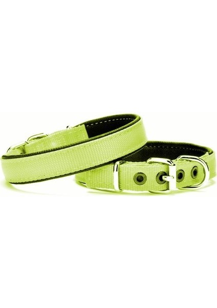 Yumuşak Doku Köpek Boyun Tasması 2/45 cm Yeşil