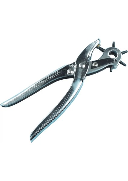 Ikili Kemer Delme ve Perçin Atma Pensesi Takımı (Yedekli) ( Lisinya ) indirimleri