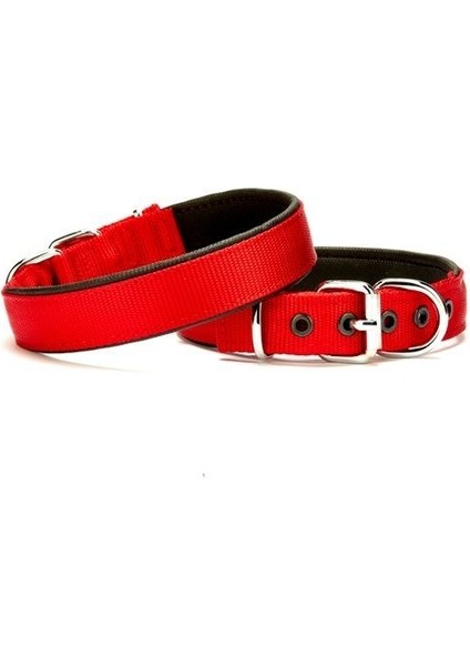 Softlu Köpek Boyun Tasması 2 cm x 40 cm Kırmızı