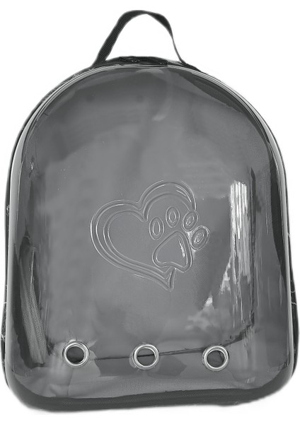 Kalpli Patili Astronot Şeffaf Taşıma Sırt Çantası Gri 24x32x42 Cm modelleri