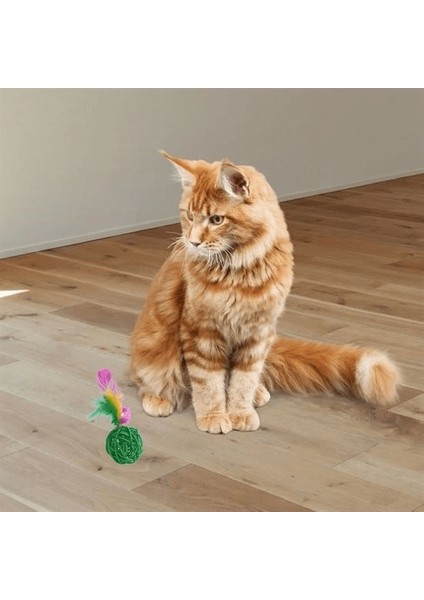 2Li Rattan Renkli Peluş Tüy Kedi Köpek Oyuncak Yakalama Çiğneme Çıngıraklı Top Oyuncağı ( Lisinya )
