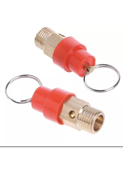 OEM Kompresör Emliyet Ventili G 1/4 (Lisinya) fırsatları