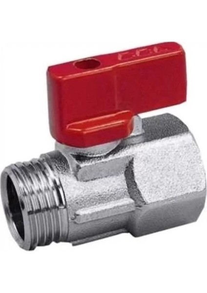 Mini Küresel Vana Erkek Dişi Kırmızı 1/2 (Lisinya)