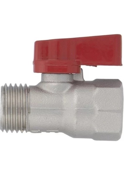Mini Küresel Vana Erkek Dişi Kırmızı 1/2 (Lisinya) fiyatları