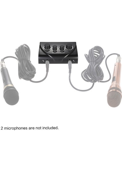 Taşınabilir Karaoke Sesli Stereo Eko Karıştırıcı Çift Mikrofon Girişi (Yurt Dışından)