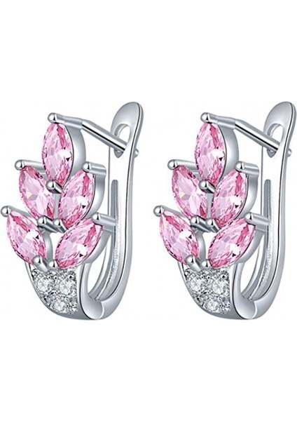 Aqqogib Kadın Kübik Zirkonya Kakma Sarılma Düğün Nişan Mücevheri Pembe Küpe (Yurt Dışından)