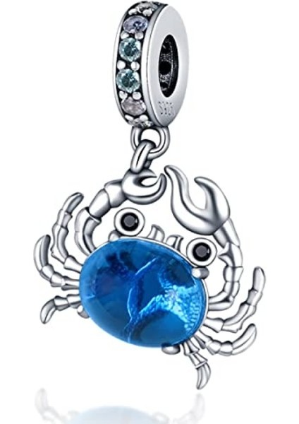 Safety1 Avekı Bilezikler Için 925 Ayar Gümüş Charm Nazar Seyahat Dangle Charms Avrupa Bilezikler Içi (Yurt Dışından) fiyatları