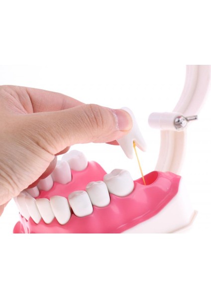 Pvc Büyütme 2, Açıığı Çıkarılabilir Düşük ÇIKARILABILIR-15X12X9CM ile (Yurt Dışından) fırsatları