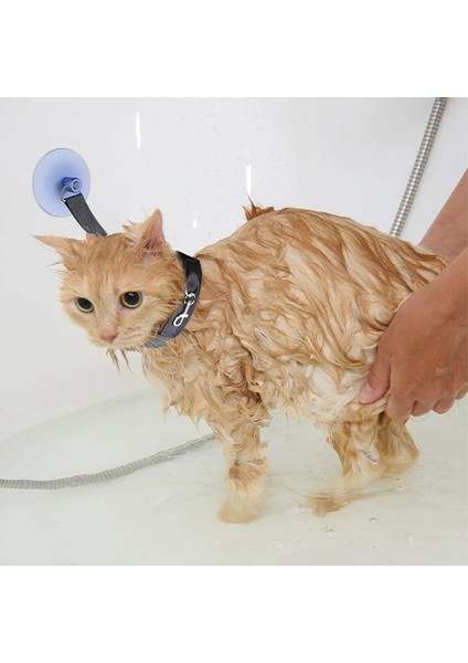 Pet Banyosu Sabitleme Kayışı Vakumlu Kupa Kedi Köpek Duşu Kısıtlama Tasma Kaçma Tasma Evcil Hayvan Banyo Bakım Aracı (Yurt Dışından)