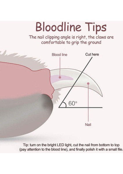 Kedi Tırnak Makası Köpek Tırnak Düzelticiler LED Işık ile Emniyet Kilidi ile Profesyonel Kedi Kesici Makas Köpek Pet Bakım Malzemeleri (Yurt Dışından) fırsatları
