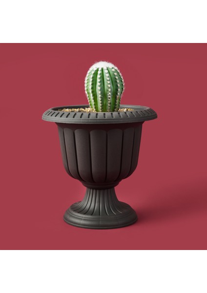 Ayaklı Plastik Saksı - Antrasit - 20,5X30X30 cm