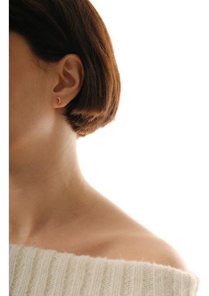 Gümüş Rose Zirkon Taşlı Sallantılı Ay Yıldız Küpe SGTL12831ROSE modelleri