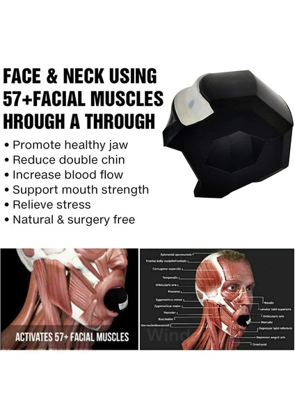 Fitness Yüz Çene Egzersiz Aleti Jawline Trainer Yüz Egzersiz Topu Çene Hattı Çiğneme Kas Topu Çene Bite Klip Arp Kırmızı 01（kırmızı 01） (Yurt Dışından) indirimleri