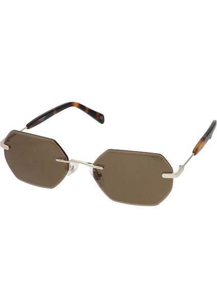 LC1679.C3 51 Unisex Güneş Gözlüğü