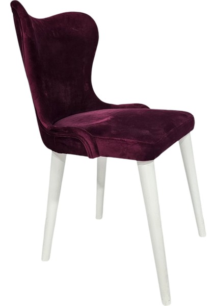 Hasağaç Cervo Ahşap Modern Sandalye