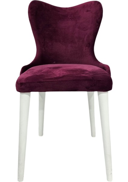 Hasağaç Cervo Ahşap Modern Sandalye