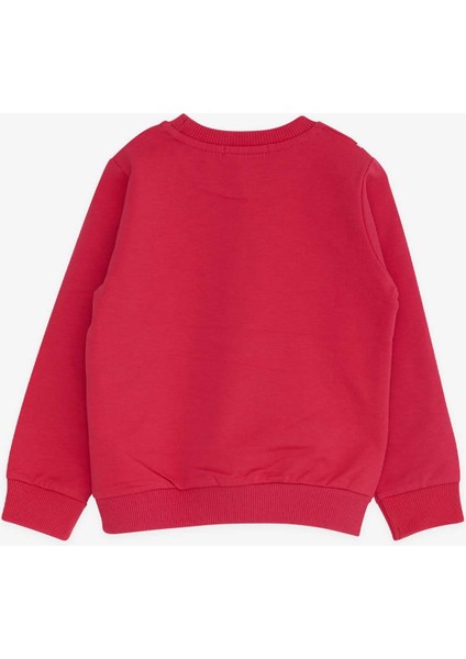 Kız Çocuk Sweatshirt Unicorn 2-6 Yaş, Fuşya fiyatları