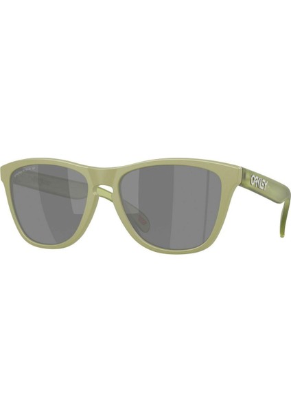 frogskıns gözlük 0oo9013-oak.m2