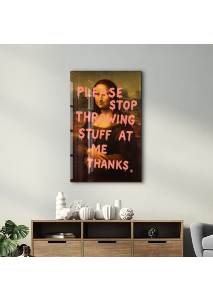 Please Stop Throwing Stuff At Me - Mona Sass Cam Duvar Tablosu
