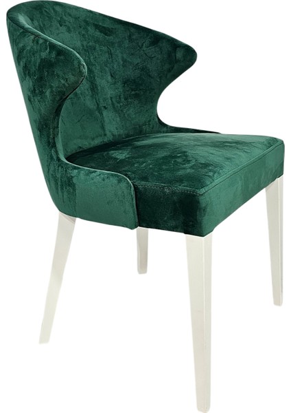 Polar Ahşap Modern Sandalye