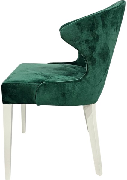 Polar Ahşap Modern Sandalye fiyatları