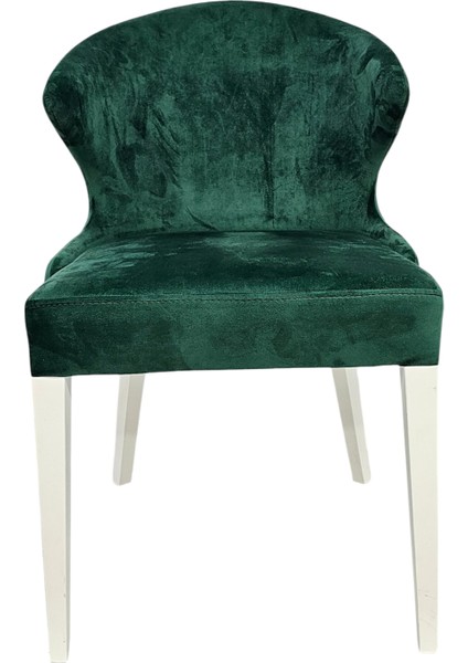 Polar Ahşap Modern Sandalye modelleri