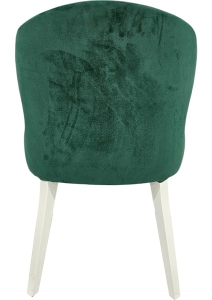 Polar Ahşap Modern Sandalye fırsatları