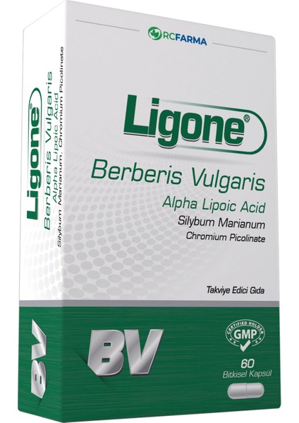 Magnezyum Complex + Ligone Omega-3 + Ligone Berberis Vulgaris 3 Lü ( Avantajlı Paket ) modelleri