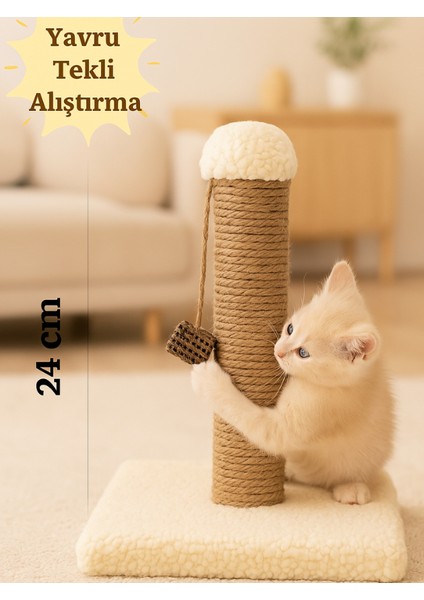 Yavru Kedi Alıştırma Tahtası Tırmalama 24 cm Krem Renk – Tekli ve Kompakt Tasarım, Yavruları Alıştırmak Için, Ideal Boy,