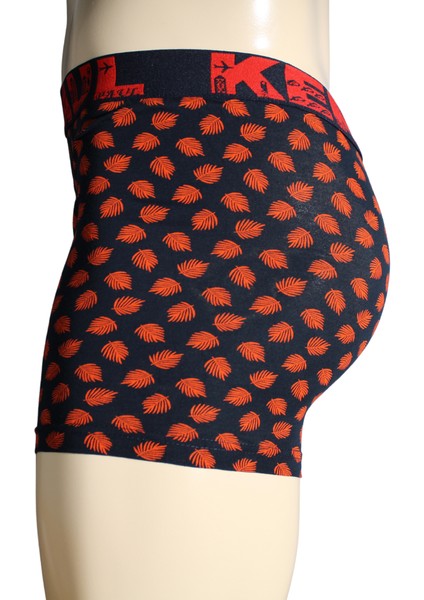 2'li Erkek Desenli Pamuklu Lüks Boxer | Yumuşak Kumaş | modelleri