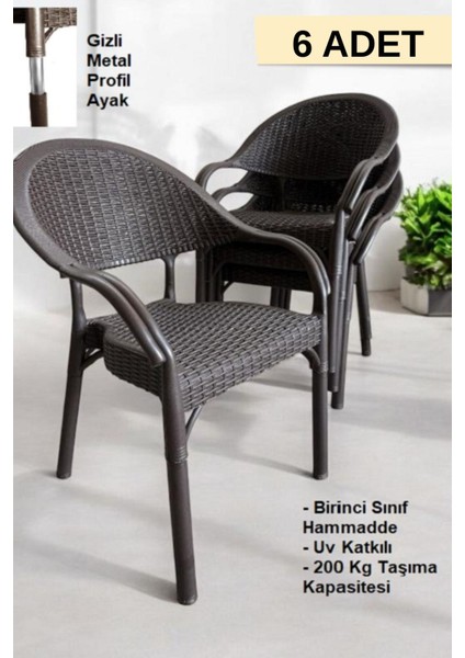 Bambu Rattan Kollu Sandalye Koltuk 6'lı Set