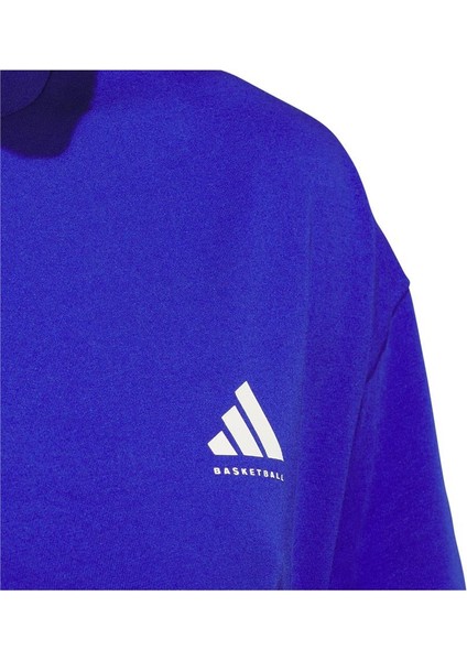 Erkek Mavi Graphıc Tee (Short Sleeve Adı Bb Gfx Tee JN7110 indirimleri