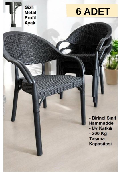 Bambu Rattan Kollu Sandalye Koltuk 6'lı Set